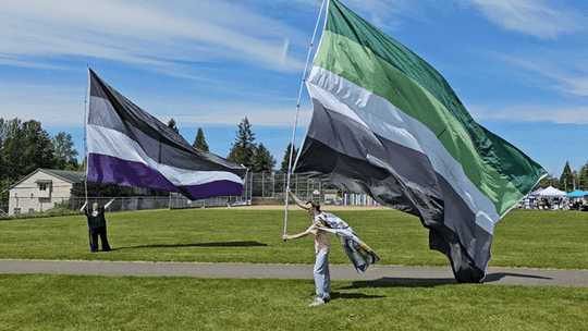 Gigantic aro and ace flags, waving majestically in the breeze. 