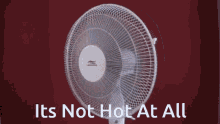 a white fan with the words 