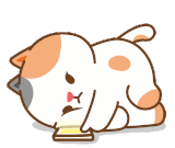 bc3d27933bfb82dd13f2124fe3b78bab-ezgif-com-resize