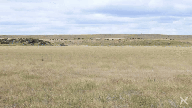 Ancient Battles Chaos