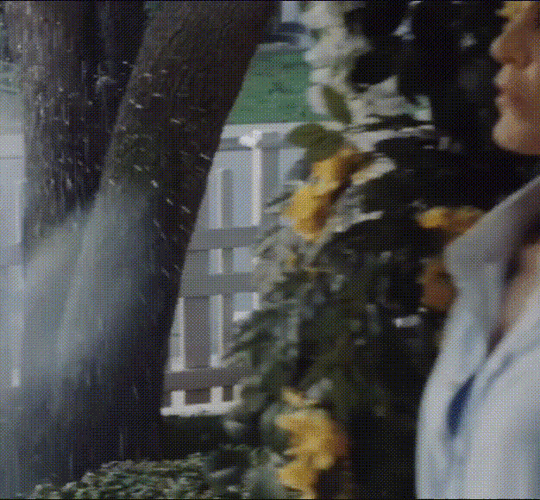 Hn-Video-Editor-2024-07-31-014400568