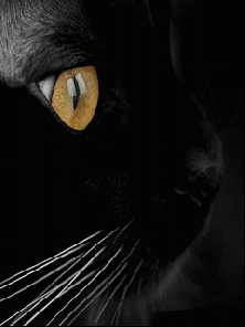Panzer says, Look at all the genres they want.