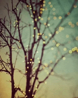 A bare, wintry, tree, outside with a pale blue sky. There are white fairy lights amidst the branches.