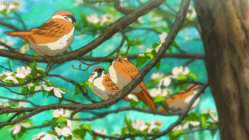 birds sitting on a branch
