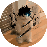 cat with black hair and blue eyes is holding a sword
