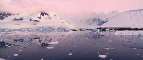 antarctic