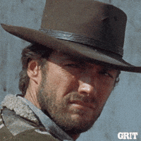 Western Cowboys GIFs - Find & Share on GIPHY