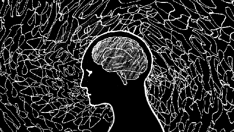 Martha Beck on overcoming anxiety and finding your purpose - Big Think