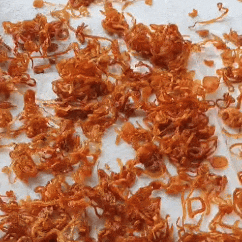 WhatsApp Video 2025-08-31 at 23.01.56.mp4 [video-to-gif output image]