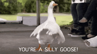 A goose, that has been animated by a computer, is flapping its wings about and seemingly dancing. The caption underneath reads, 'You're a silly goose.'