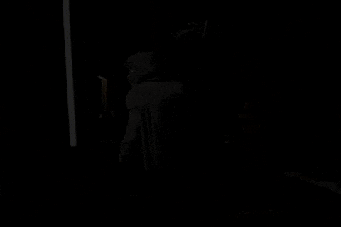 GIF 11