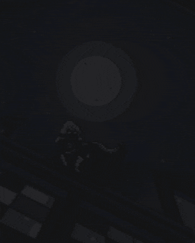 GIF 1