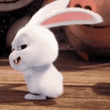 ”GIFs