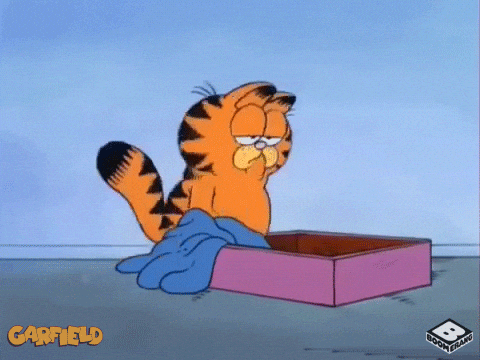 reaction gif