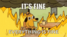 it s fine