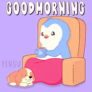 pengu pudgyf