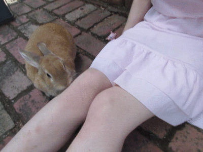 Tumblr Image