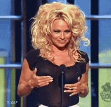 pam-anderson-pamela-anderson