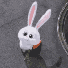 ”GIFs