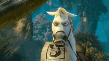 annoyed horse