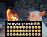 He Tryna Ignore It Twitter Meme - He tryna ignore it Twitter Hes trying to ignore it - Discover & Share GIFs