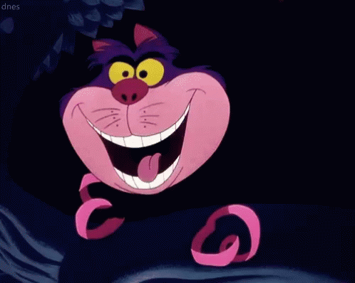 ”Gato
