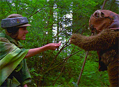 EWOK