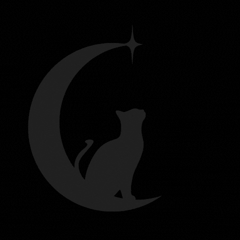 Full moon kitty