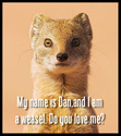 It'z Dan!  Duh!!!!!!  Yes I do love you Dan!