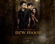 I found this on the New Moon Official website! =]