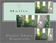 Cover jacket: Mollie, by Elaine Bagworth
