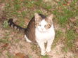 My cat!!!!