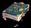 A book...about magic!