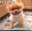 I HAVE A PEG LEG!