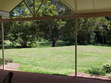 Backyard before