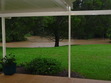 backyard during