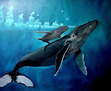 swimming in the ocean is like swimming in space. :)