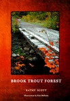 On September 30th the forests of Maine wear the colors of brook trout.  Here begins a journey every angler knows.