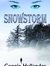 Snnowstorm