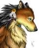 Gender: male
Rank: Med. wolf
Mate: Can't have one
Crush:(Open)
