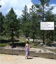 Tessa outside the National Forest (used as the inspiration for the setting in Dark Moon Vale)