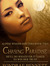 Chasing Paradise