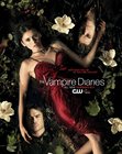 Damon, Elena & Stefan
