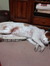 Sleeping