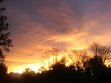 Took this a my friends, the Hubbels, in Hutchinson,Kansas in 2010
