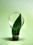 This is a legitimate leaf....in a legitimate light bulb... :)