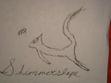 Shimmershape