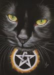 cat of magick!