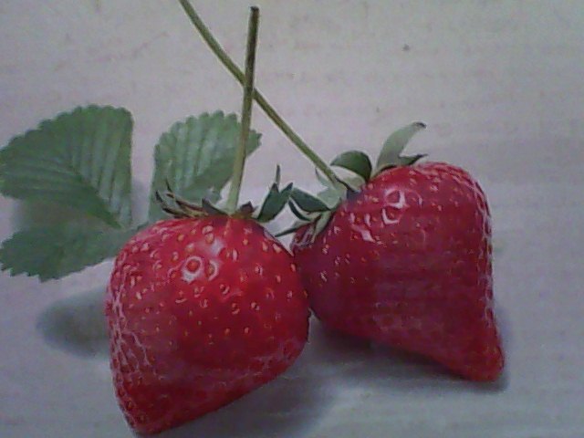 Strawberries