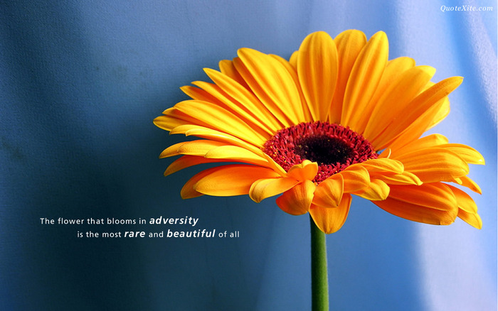 flower